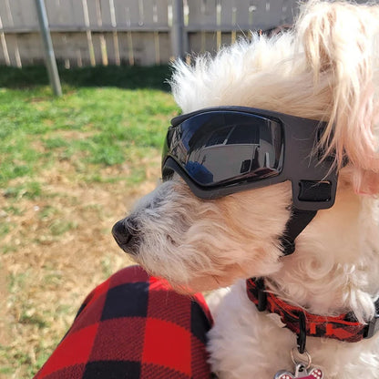 Dog Sunglasses with Adjustable Straps