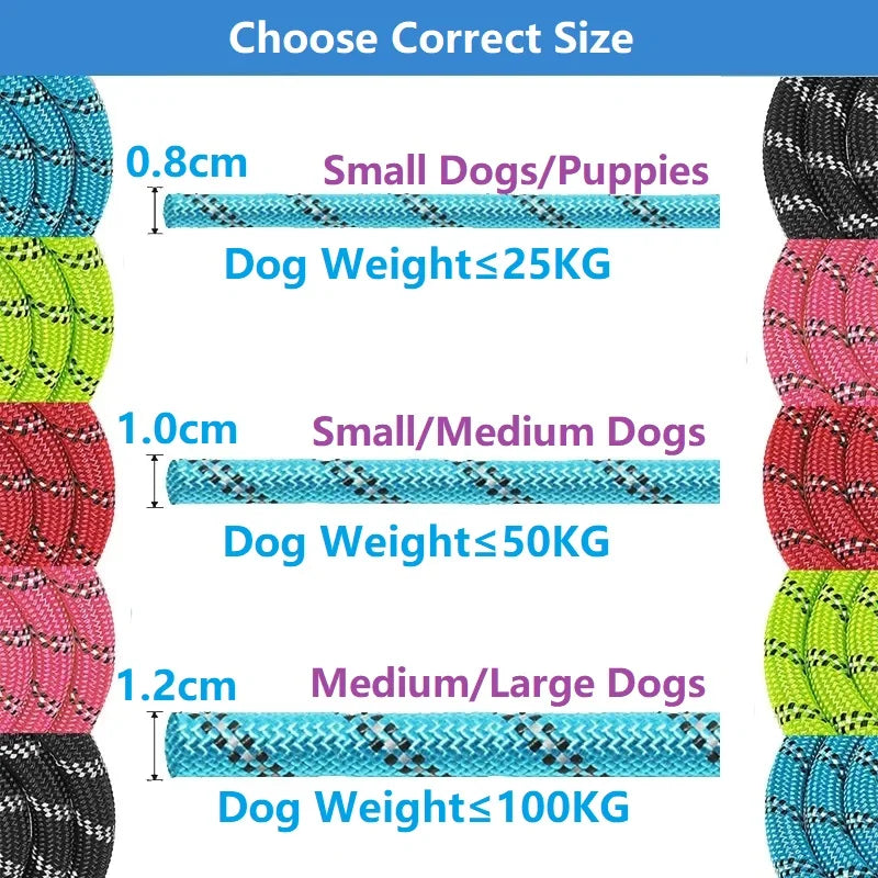 Heavy-Duty Dog Leash