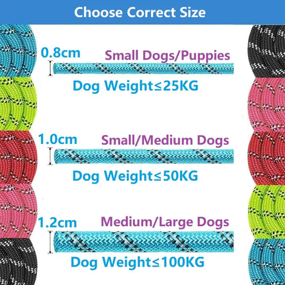 Heavy-Duty Dog Leash