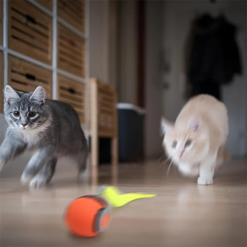 Automatic Rolling Cat Ball