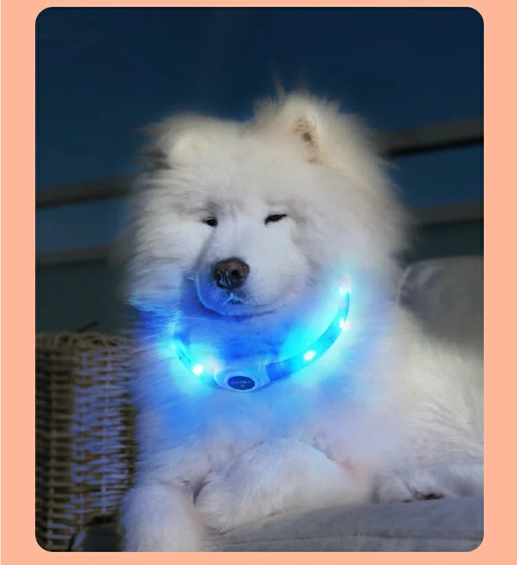 LED Light-Up Dog Collar