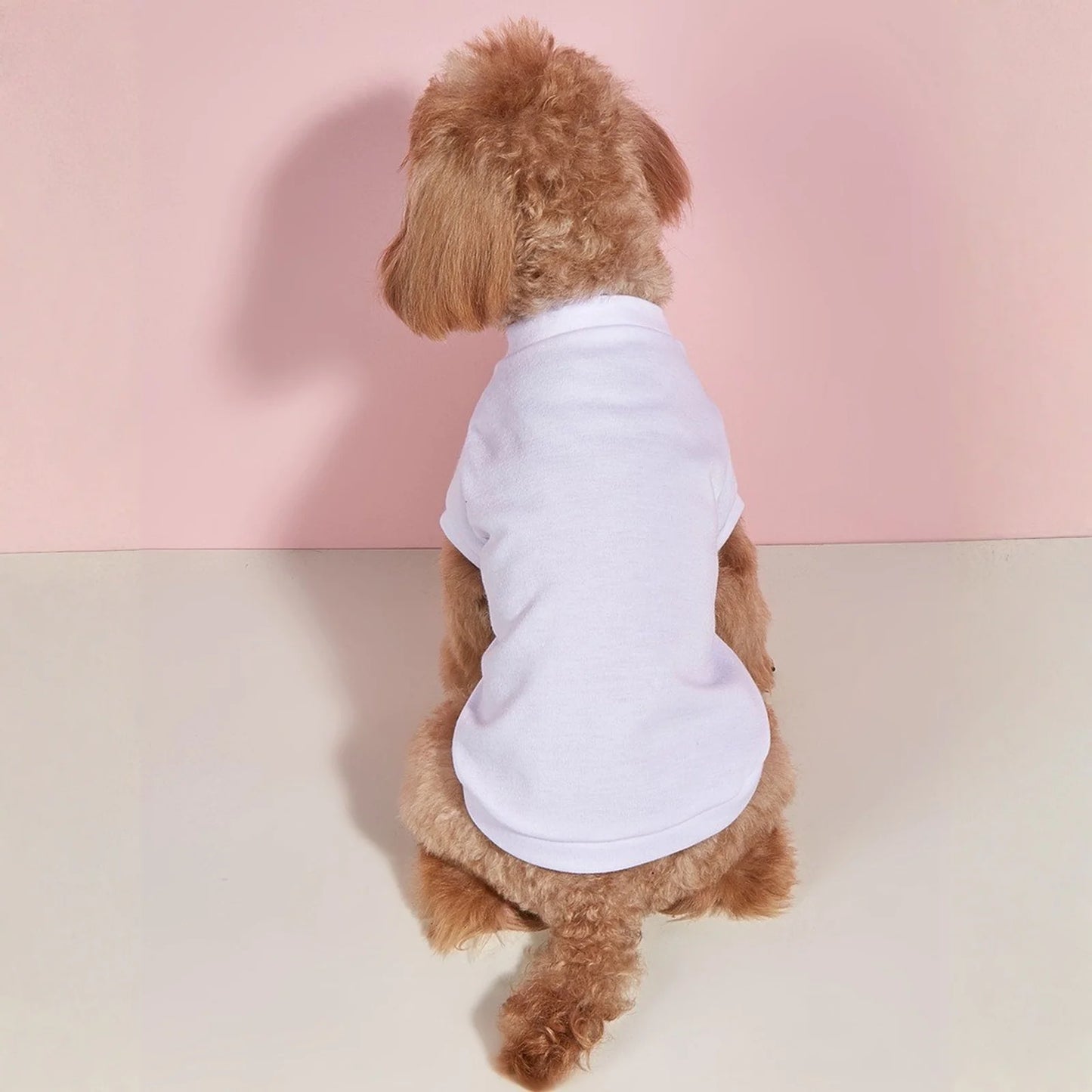 Solid Summer Dog Tee