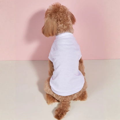 Solid Summer Dog Tee