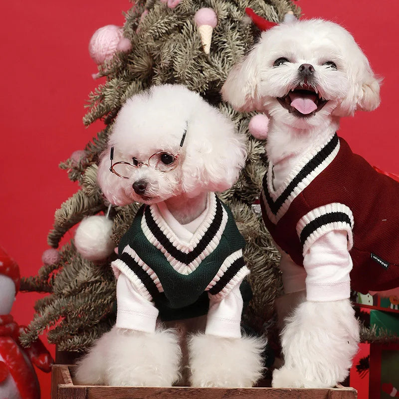 Winter Knit Pet Pullover