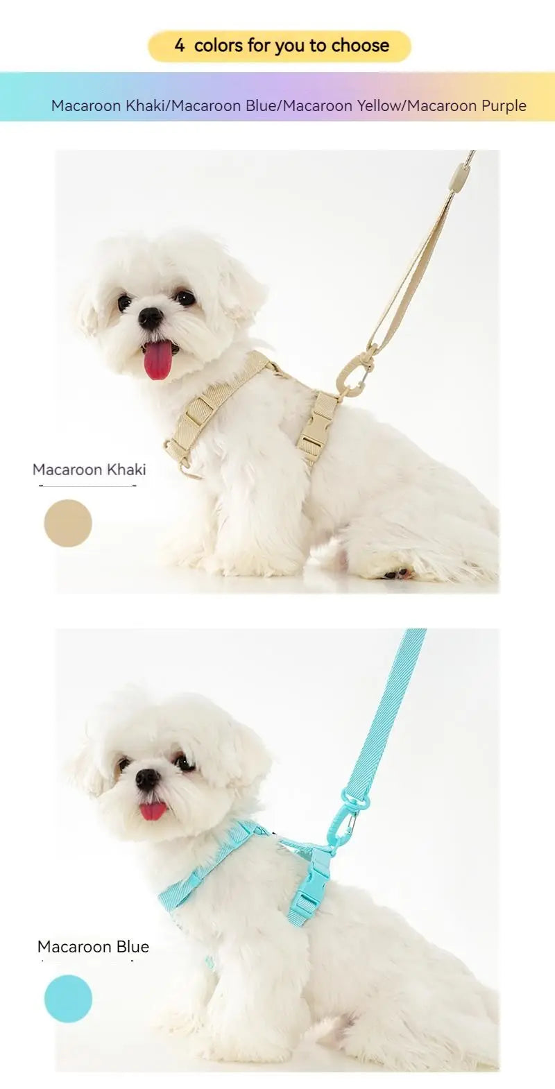 Macaron Dog Harness, Collar & Leash Set