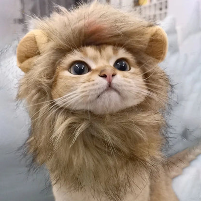 Lion Mane Costume Hat for Cats & Dogs