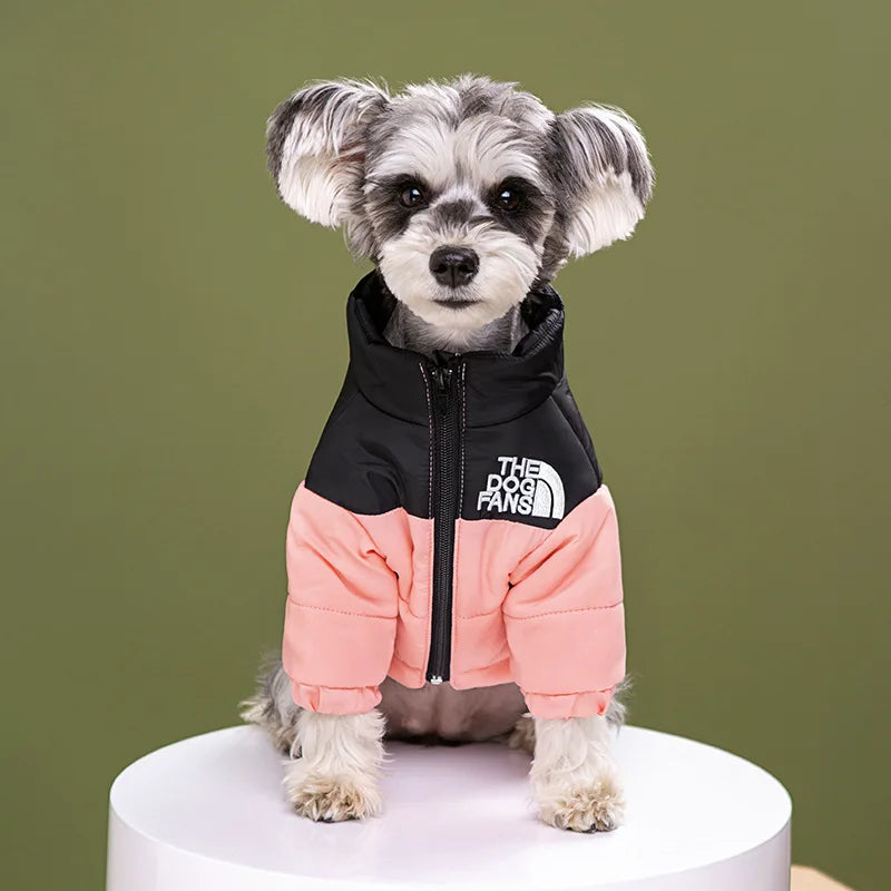 Puppy Down Jacket