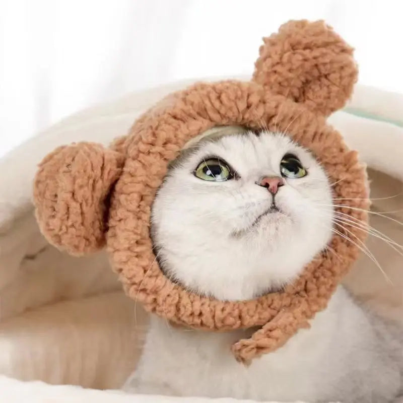 Bear & Rabbit Hooded Pet Hat