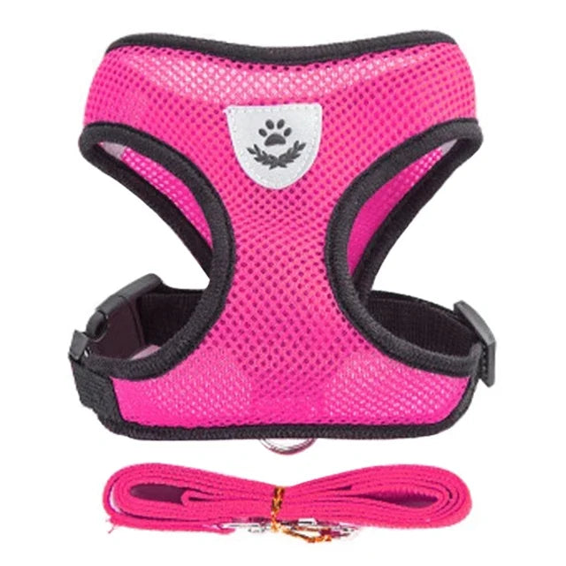 Mesh Cat & Dog Vest Harness Set