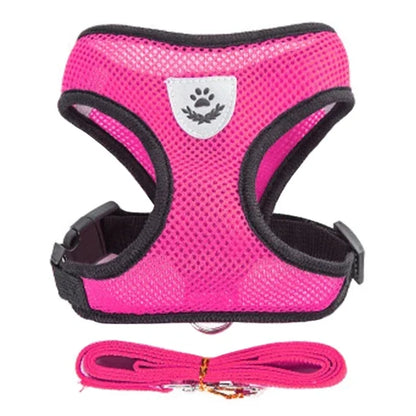 Mesh Cat & Dog Vest Harness Set