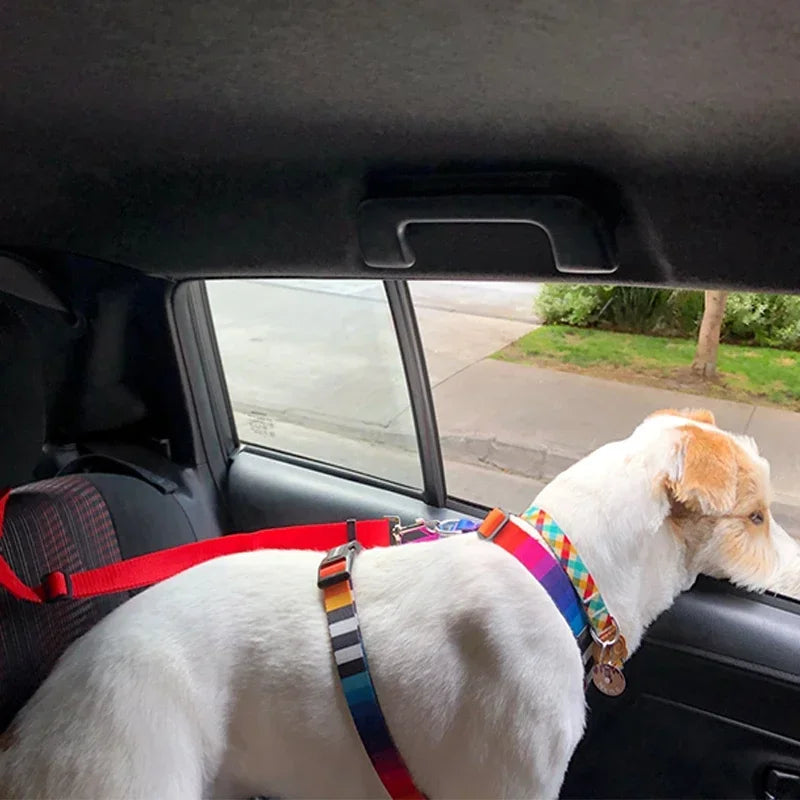 2-in-1 Dog Car Seat Belt & Leash