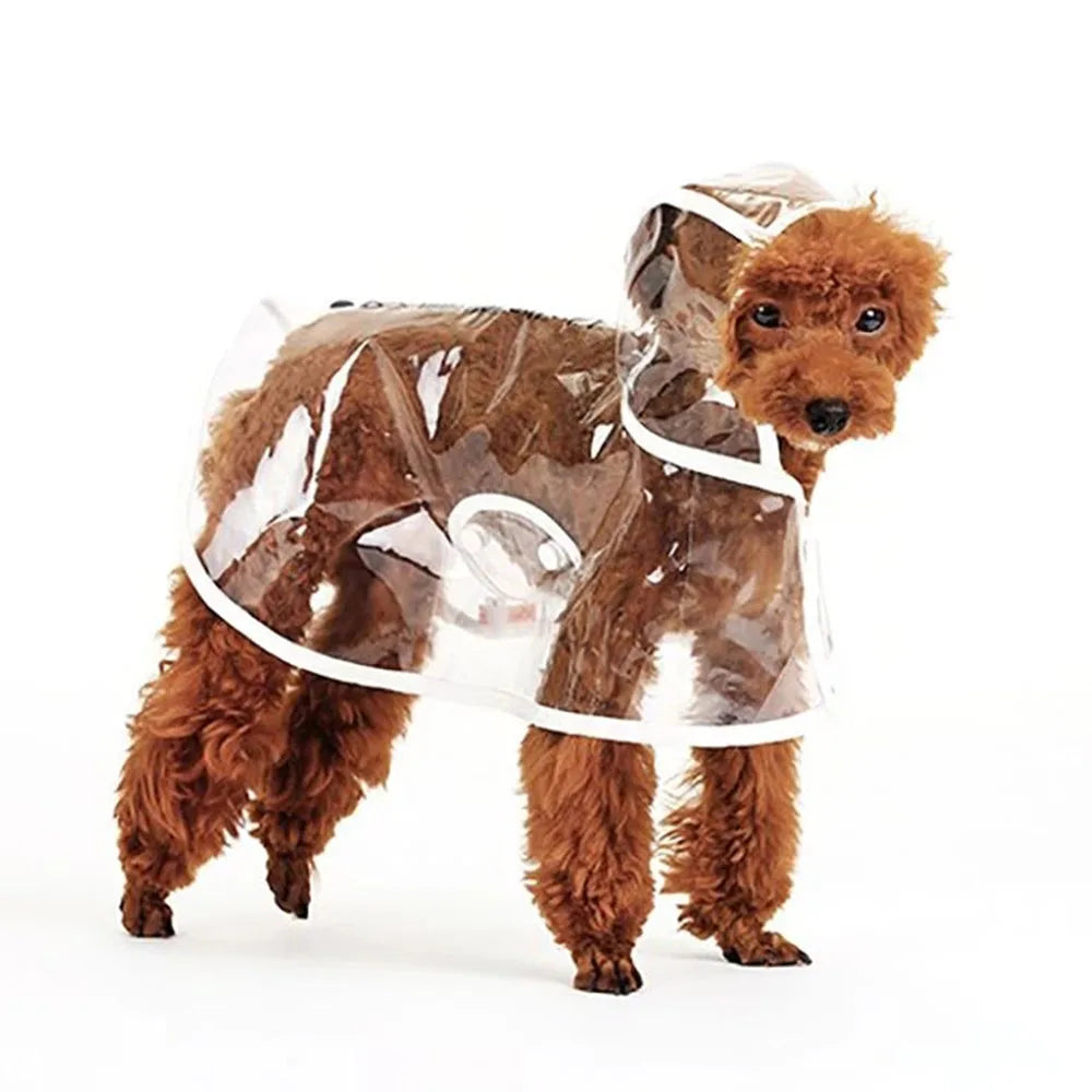 Transparent Hooded Dog Raincoat