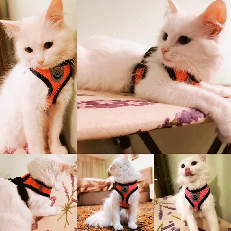 Mesh Cat & Dog Vest Harness Set
