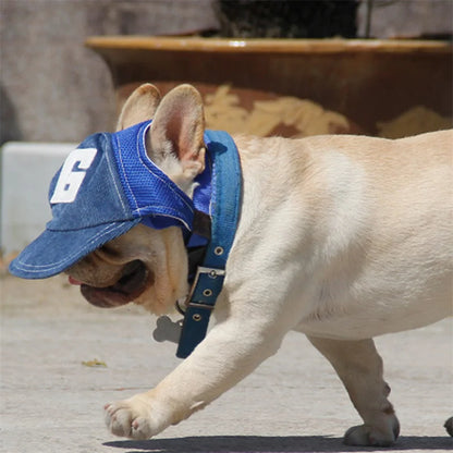 Dog Sun Hat with Ear Holes