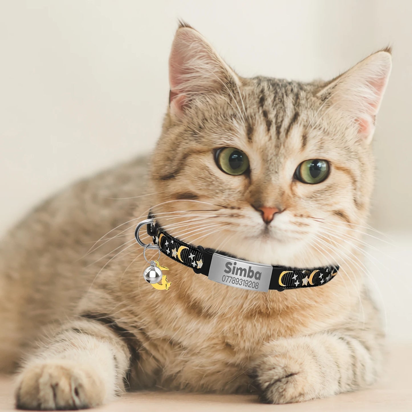 Personalised Glow Cat Collar with ID