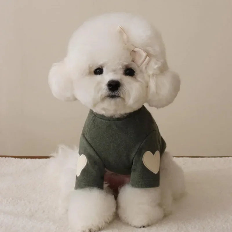 Love Bear Winter Pet Hoodie
