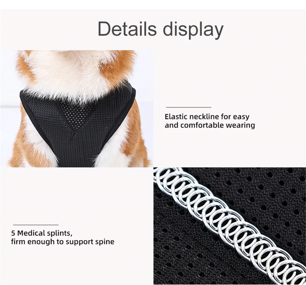 Dog IVDD Back Brace & Support
