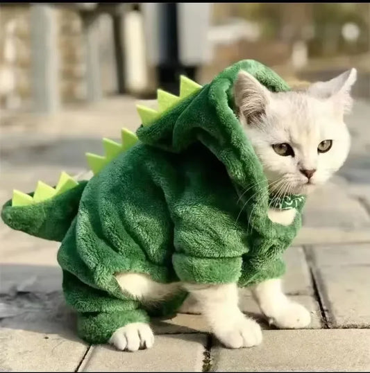 Dinosaur Hoodie Pet Costume