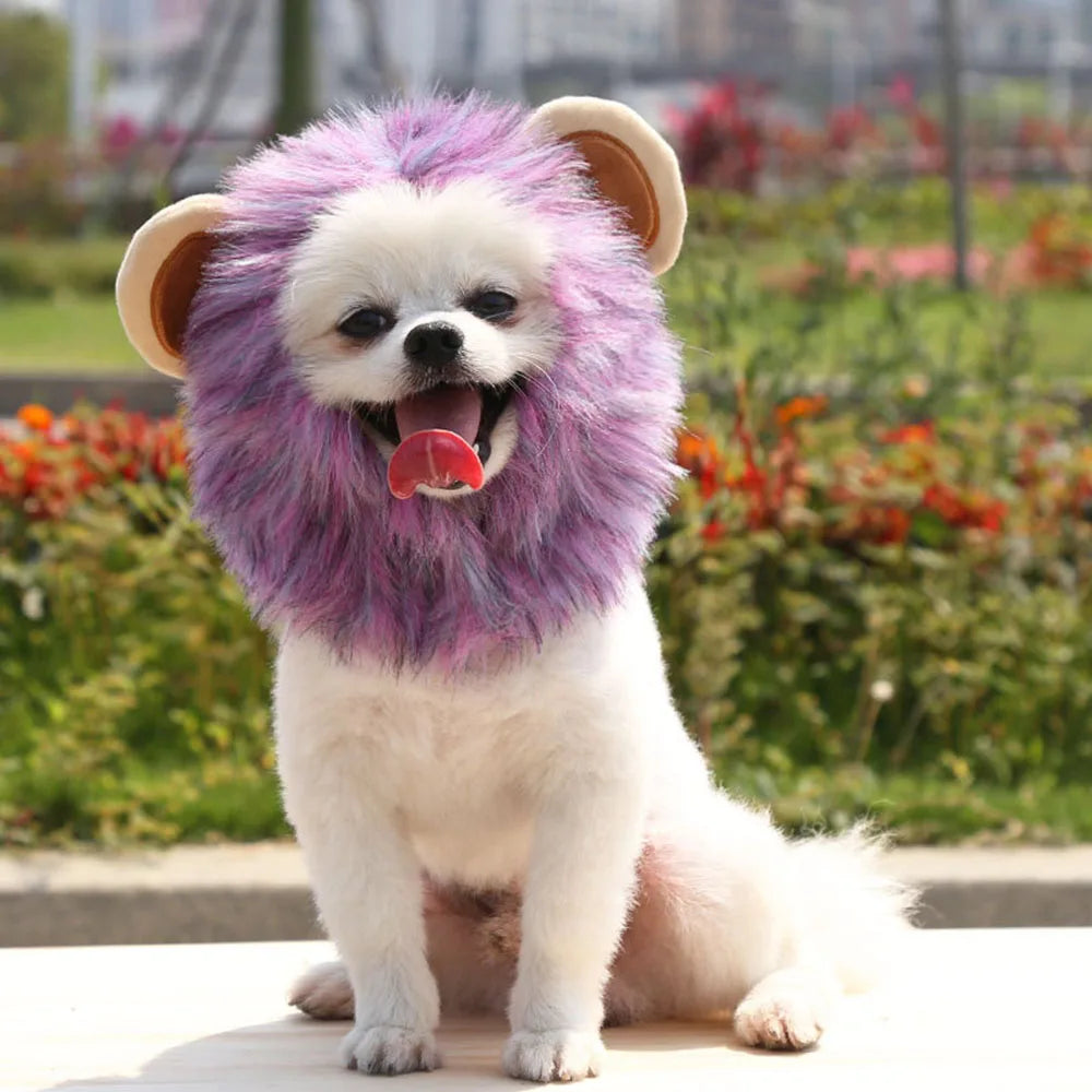 Lion Mane Costume Hat for Cats & Dogs