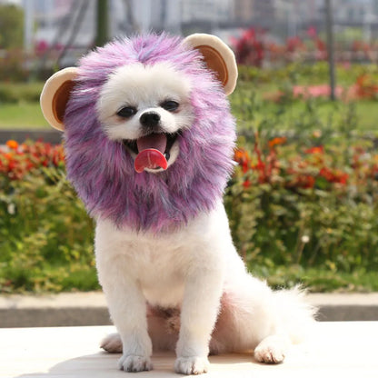 Lion Mane Costume Hat for Cats & Dogs