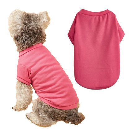 Solid Summer Dog Tee