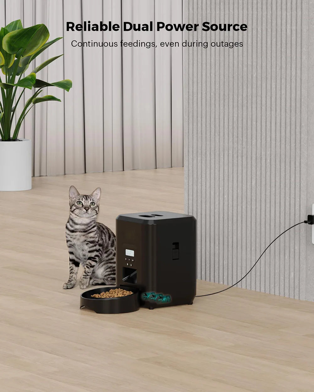 Automatic Timed Pet Feeder
