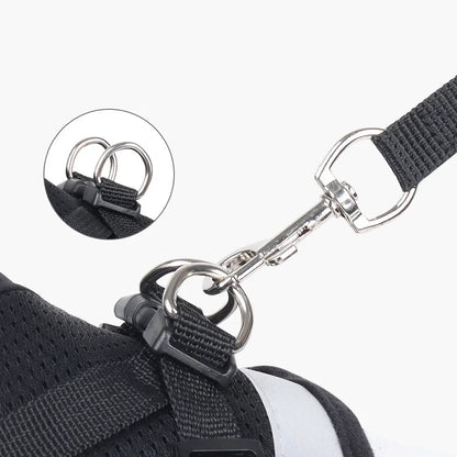 Reflective Escape-Proof Cat Harness Set