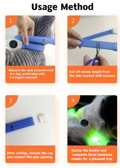 LED Light-Up Dog Collar