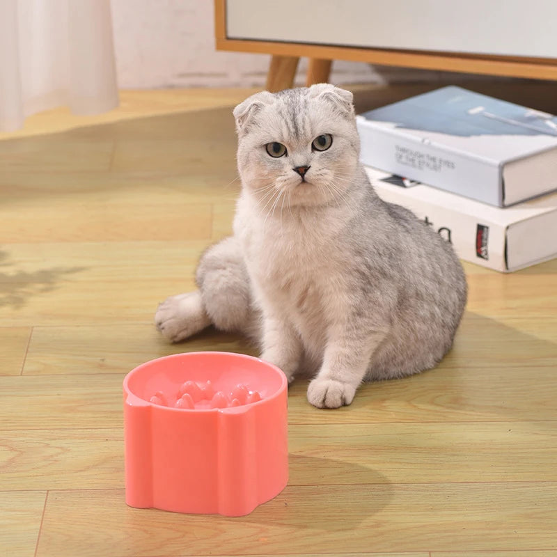 Raised Slow-Feed Pet Bowl