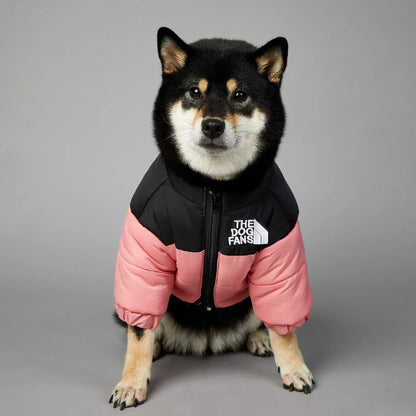 Puppy Down Jacket