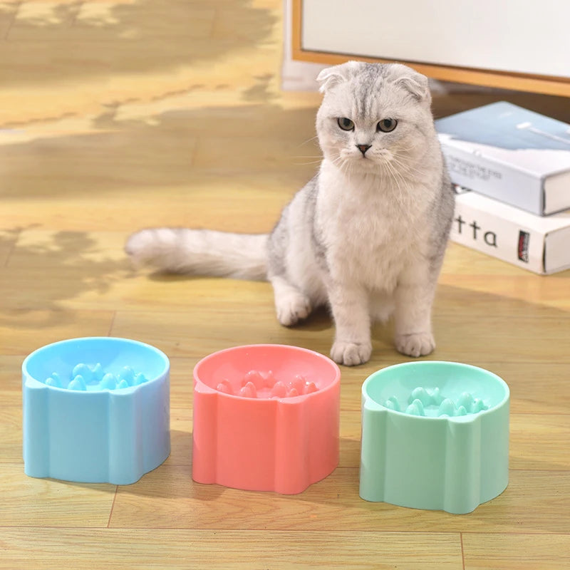 Raised Slow-Feed Pet Bowl