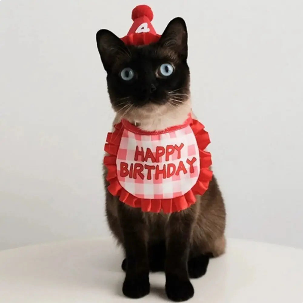 Cat Birthday Party Hat & Scarf Set