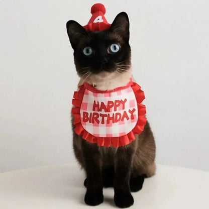 Cat Birthday Party Hat & Scarf Set