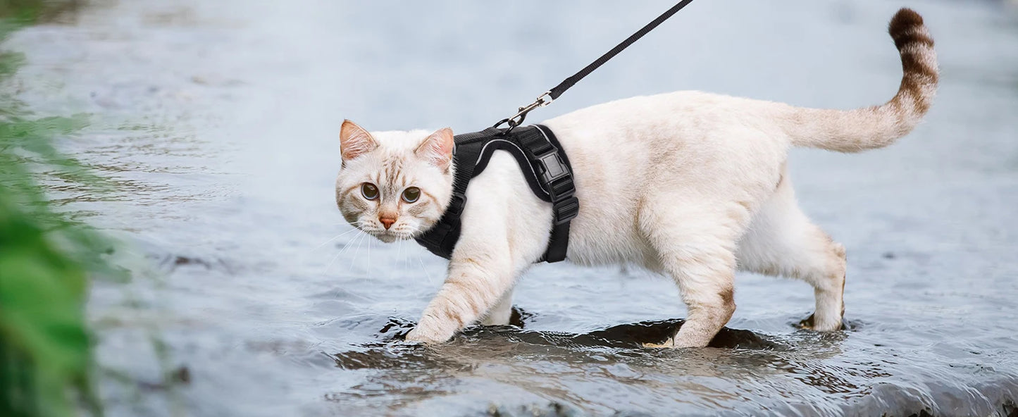 Soft Escape-Proof Cat Harness & Leash