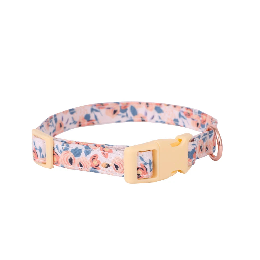 Small Dog Harness & Leash Set