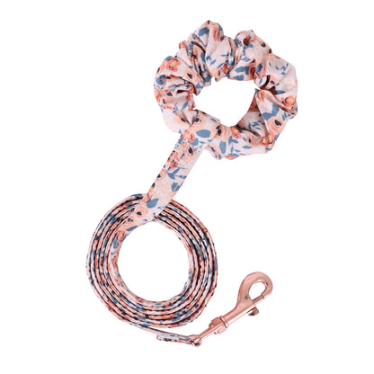 Small Dog Harness & Leash Set