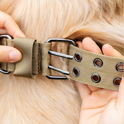 Military-Style Adjustable Dog Collar