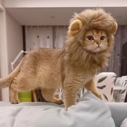 Lion Mane Costume Hat for Cats & Dogs