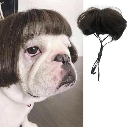 Funny Dog Cosplay Wig