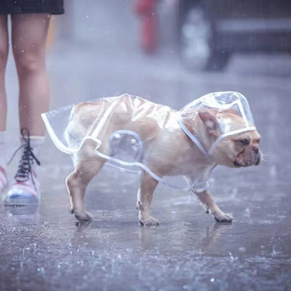 Transparent Hooded Dog Raincoat