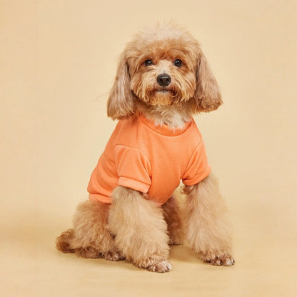 Solid Summer Dog Tee