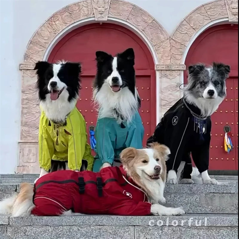 Reflective Dog Raincoat