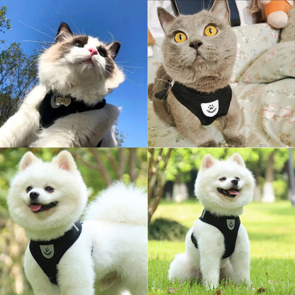 Reflective Cat Harness & Leash Set