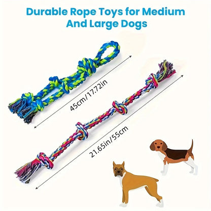 Tug-of-War Knot Dog Toy