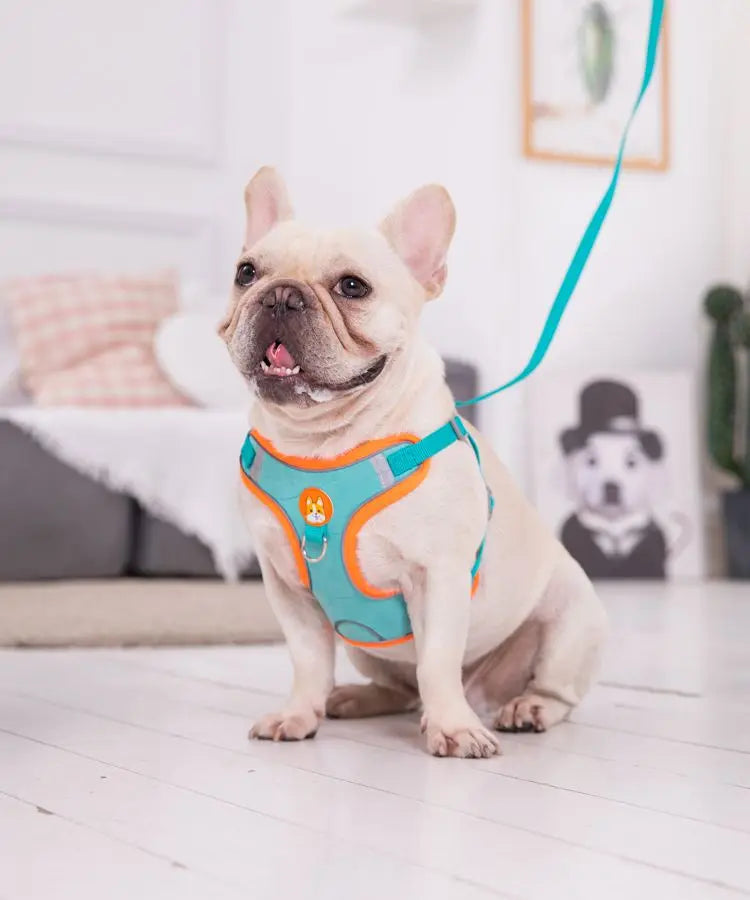 No-Pull Reflective Dog Harness