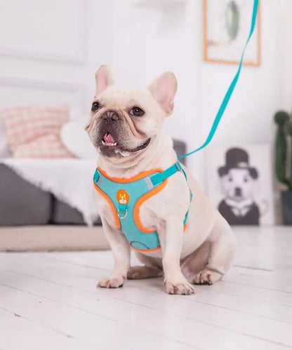 No-Pull Reflective Dog Harness