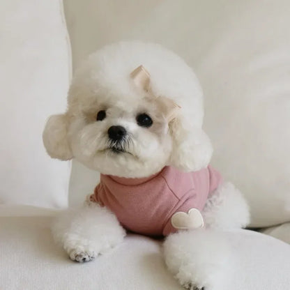 Love Bear Winter Pet Hoodie