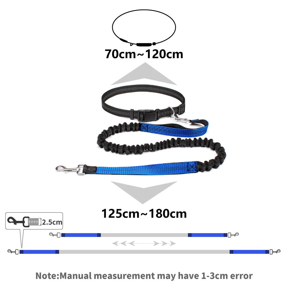 Hands-Free Dog Leash with Waist Belt