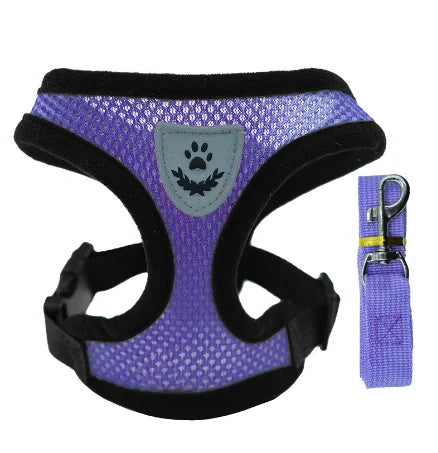 Mesh Cat & Dog Vest Harness Set
