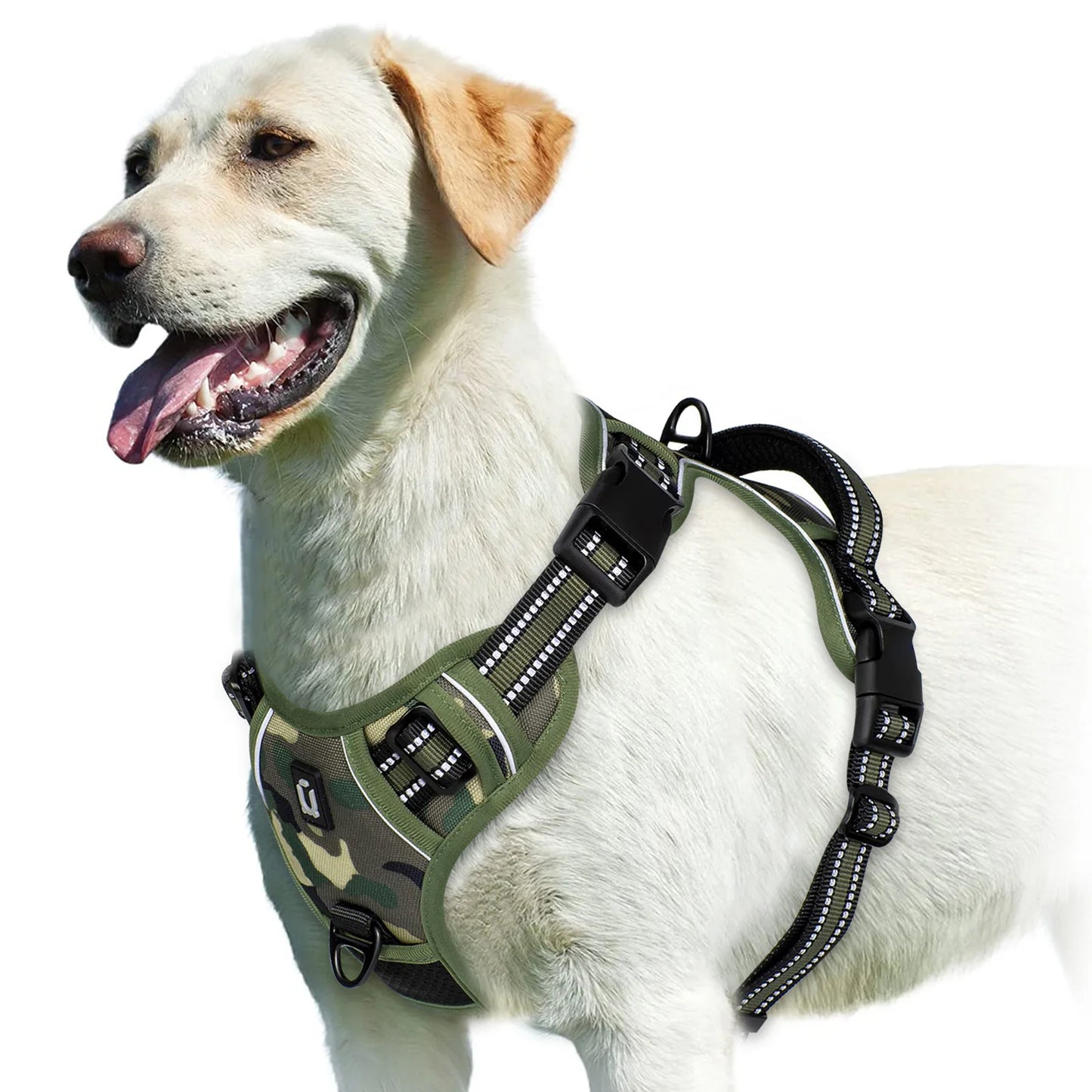Padded No-Pull Dog Harness